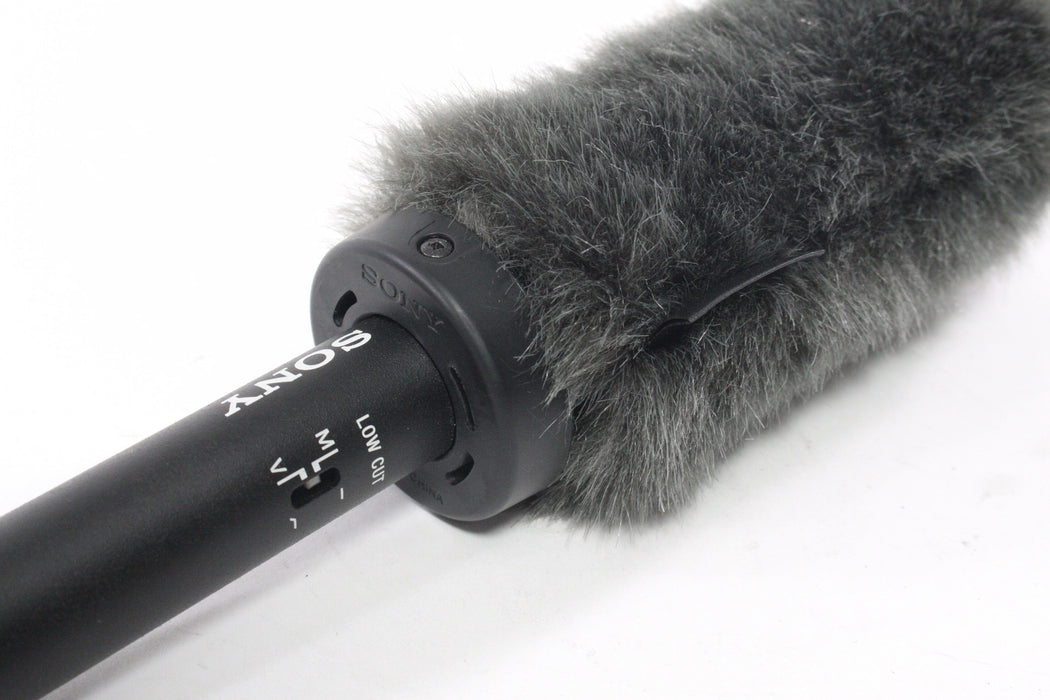 Sony Mic ECM-VG1 with XLR Connection