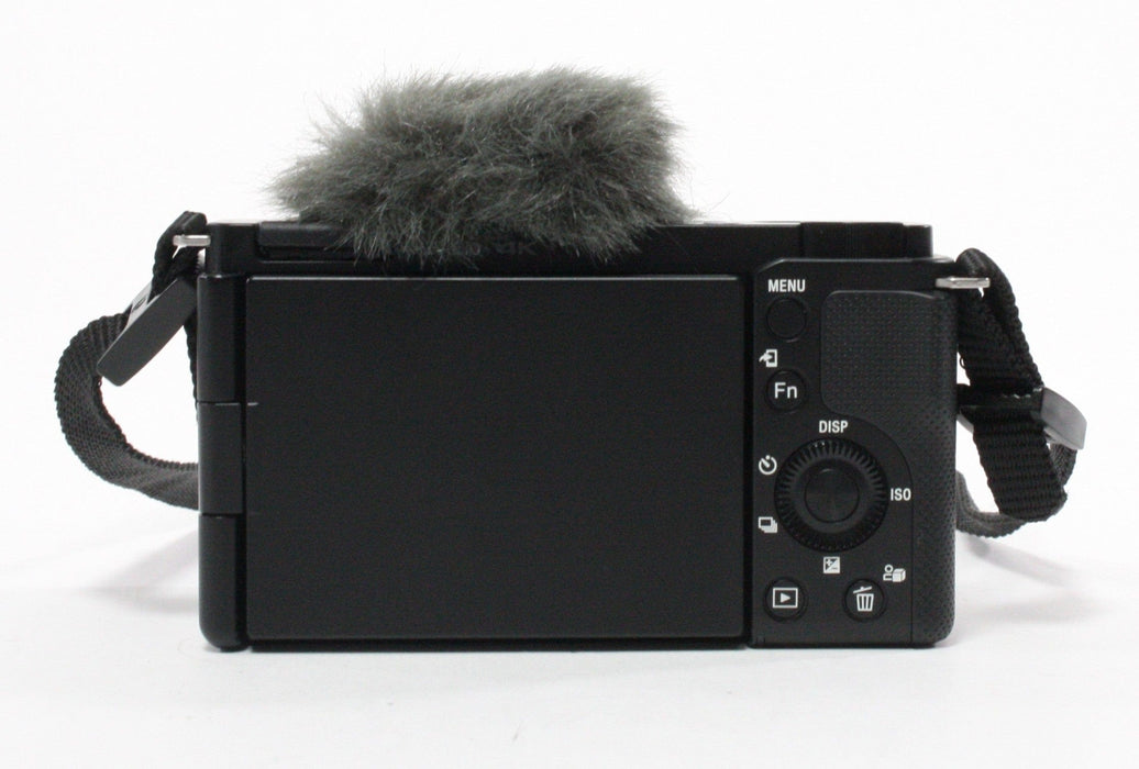 Sony ZV-E 10 with 16-50mm f/3.5-5.6 PZ OSS with Shutter Count 147