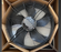 ebm-papst W3G800-KU21-05 Axial EC Square Plate Fan 800mm 3~380-480V 4.4A 2900W 1100Rpm